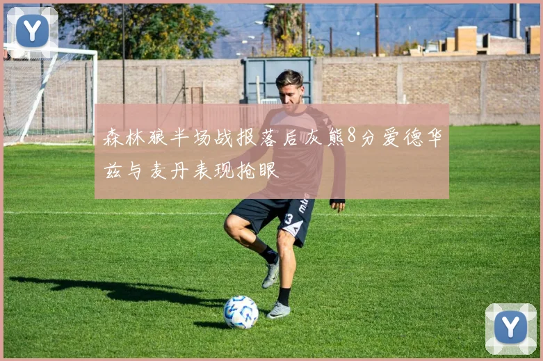 森林狼半场战报落后灰熊8分爱德华兹与麦丹表现抢眼