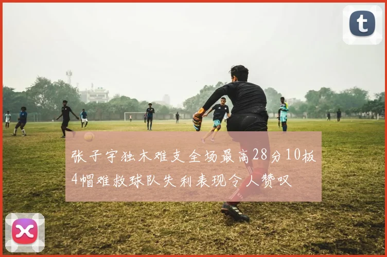 张子宇独木难支全场最高28分10板4帽难救球队失利表现令人赞叹