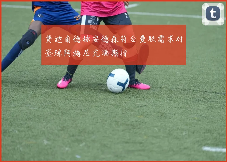 费迪南德称安德森符合曼联需求对签琼阿梅尼充满期待