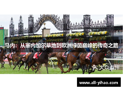 马内：从塞内加尔草地到欧洲绿茵巅峰的传奇之路