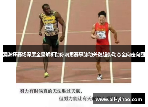 澳洲杯赛场深度全景解析助你洞悉赛事脉动关键趋势动态全向走向图